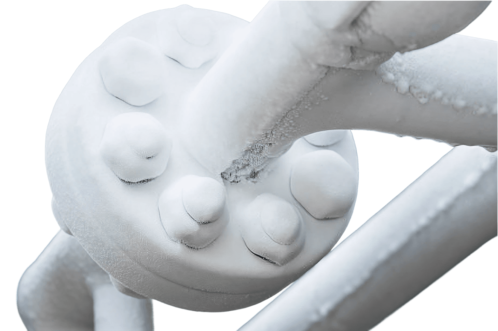 Cryogenic Check Valves