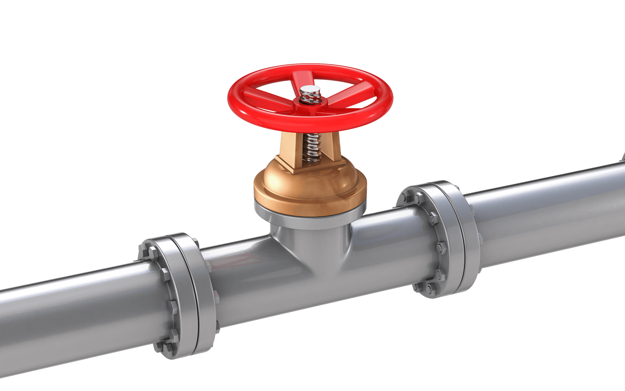F91 & C12A Gate, Globe & Check Valves